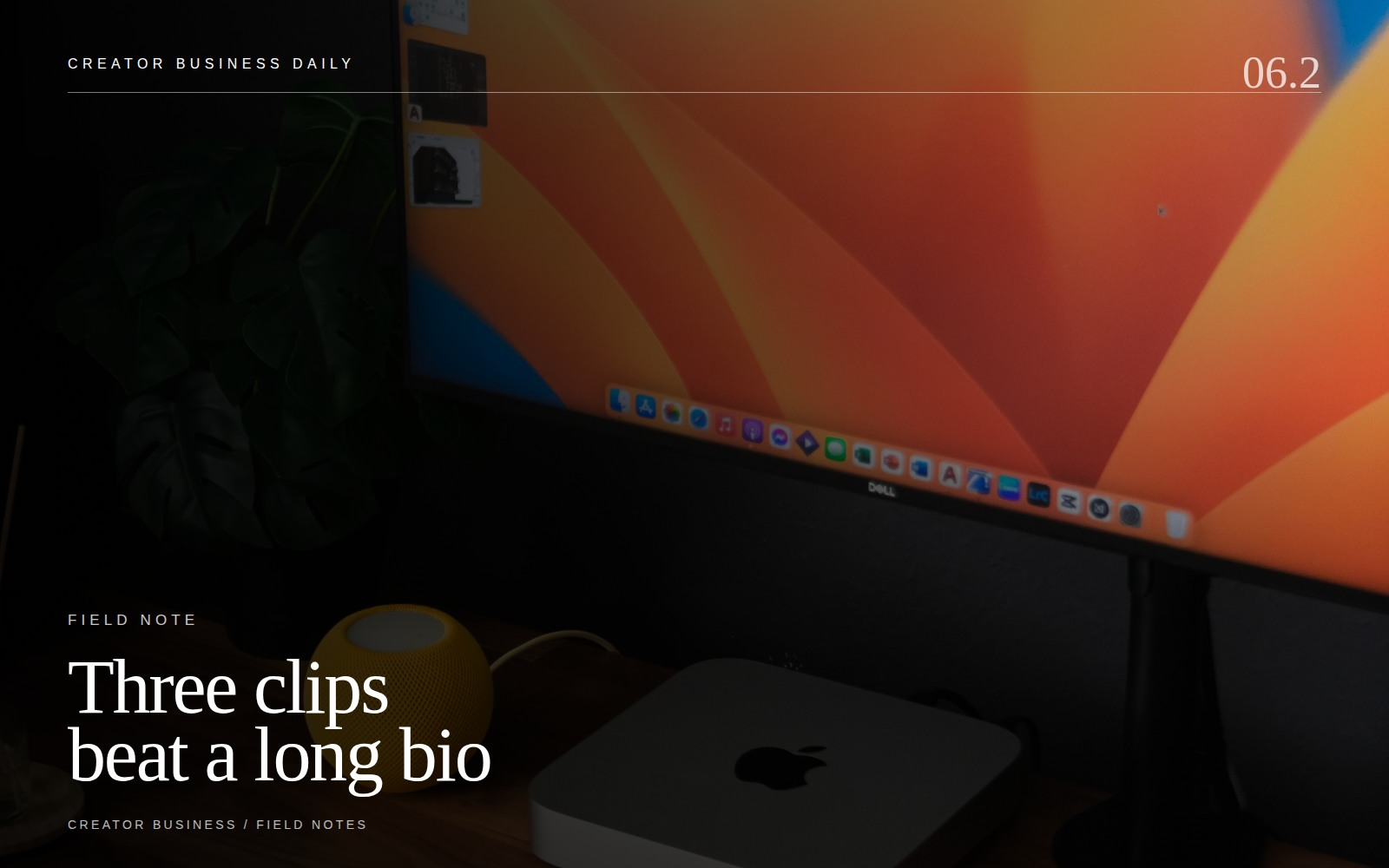 PORTFOLIO supporting editorial visual