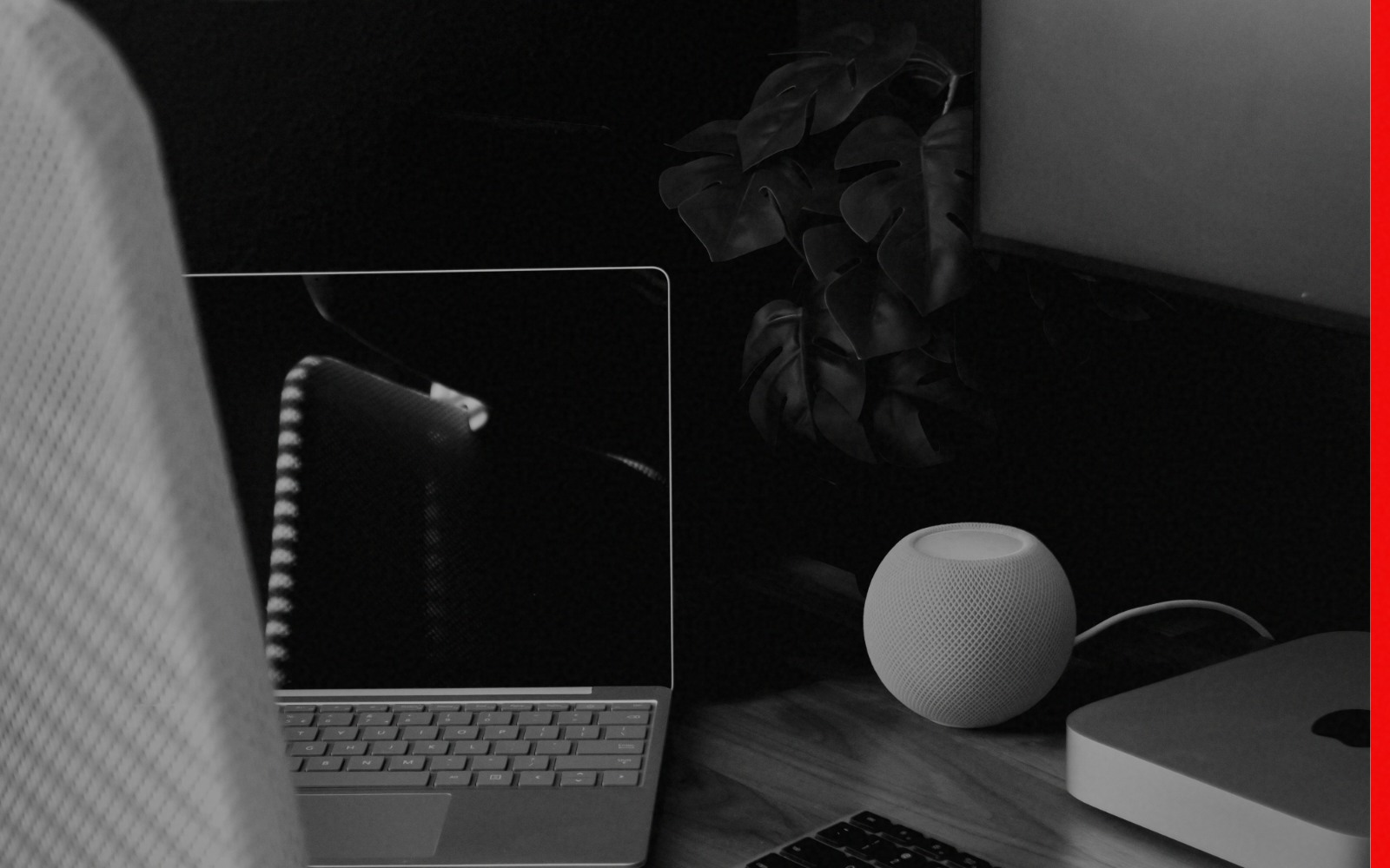 The 5 Numbers Every Creator Should Know Before Going Full-Time